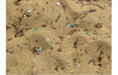 Nhựa gây độc hại đến hệ sinh thái biển
